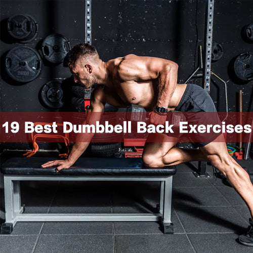 19 Best Dumbbell Back Exercises